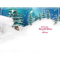 3D Holographic Someone Special Me to You Bear Christmas Card Extra Image 1 Preview